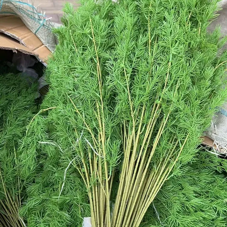 【30支】松针草 仿真花 婚庆居家装饰假花