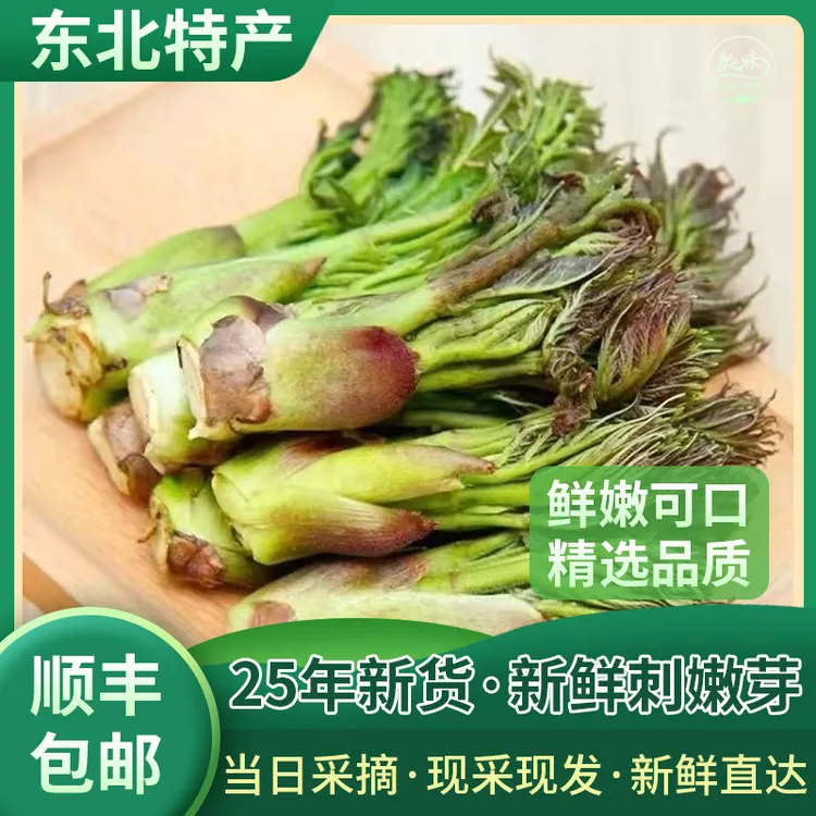 【顺丰包邮】新鲜野生刺嫩芽菜东北山野菜刺老芽刺龙芽蘸酱菜