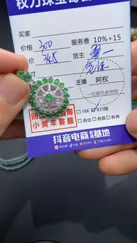 【闪购商品】翡翠颈饰银S925镶嵌寄售不退换