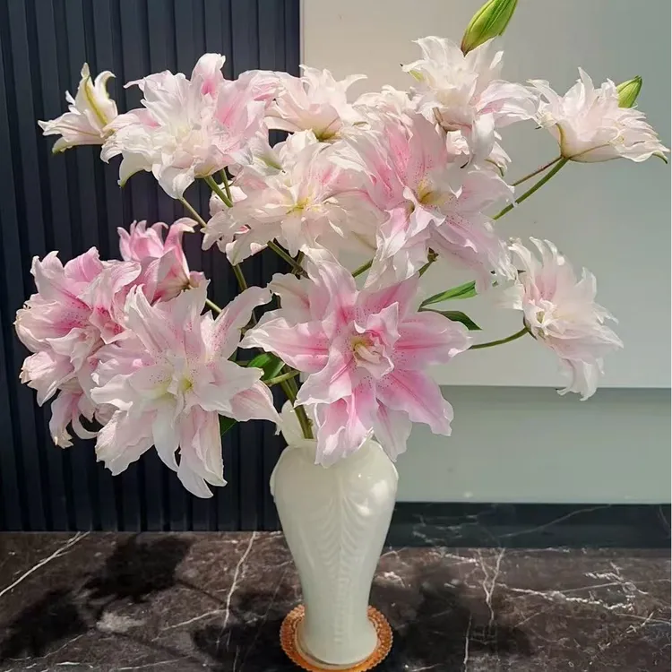 【好物精选】【花千氧】伊莎贝拉重瓣百合云南鲜花鲜切花装饰客厅教师节装饰节日
