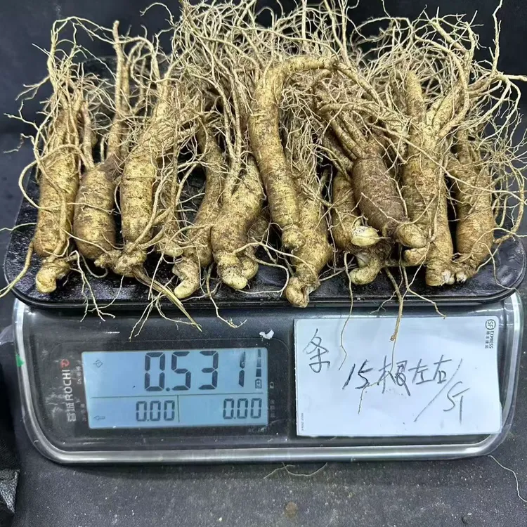 边条货一斤15根左右单支重量30-44克长白参新鲜人参包邮顺丰空运