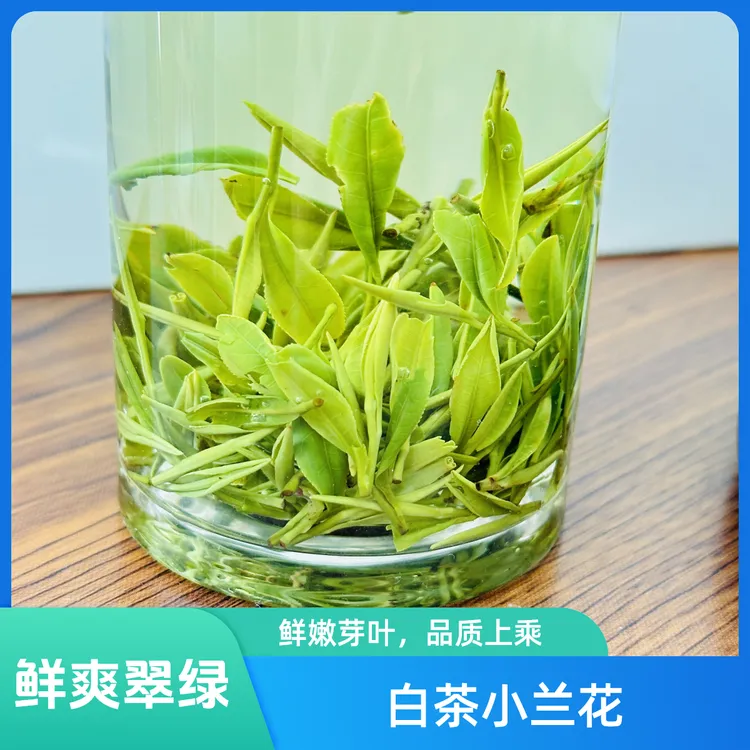 白茶小兰花 2025年口粮白茶【小兰花】买1斤送1个水杯