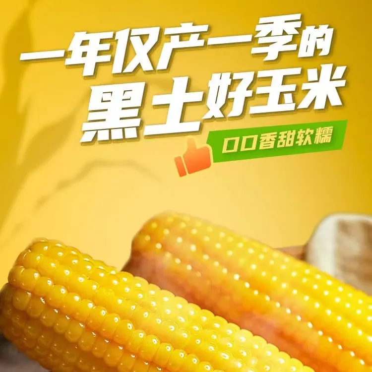 【八根五斤】东北黄糯玉米真空包装香甜软糯开袋即食粗粮代餐