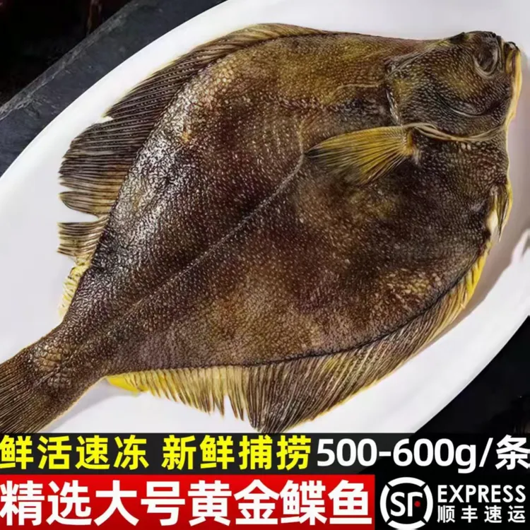 【精品】大号新鲜海捕黄金鲽鱼 偏口鱼比目鱼刺少肉多 5斤 肉质细腻商品图