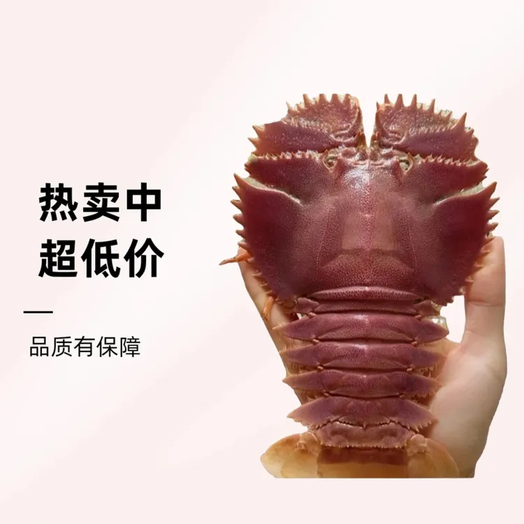 台州东海野生琵琶虾船冻琵琶虾大号2斤装顺丰冷链发货