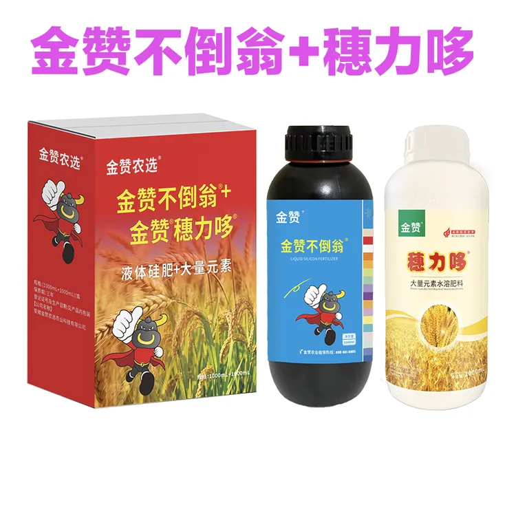 （倍茂）金赞不倒翁液体硅肥穗粒多组合强壮秸秆抗倒伏