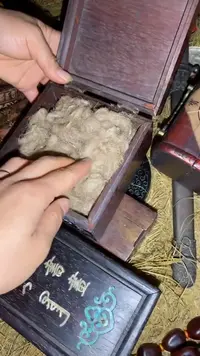 香榧木 一一一一一福利
