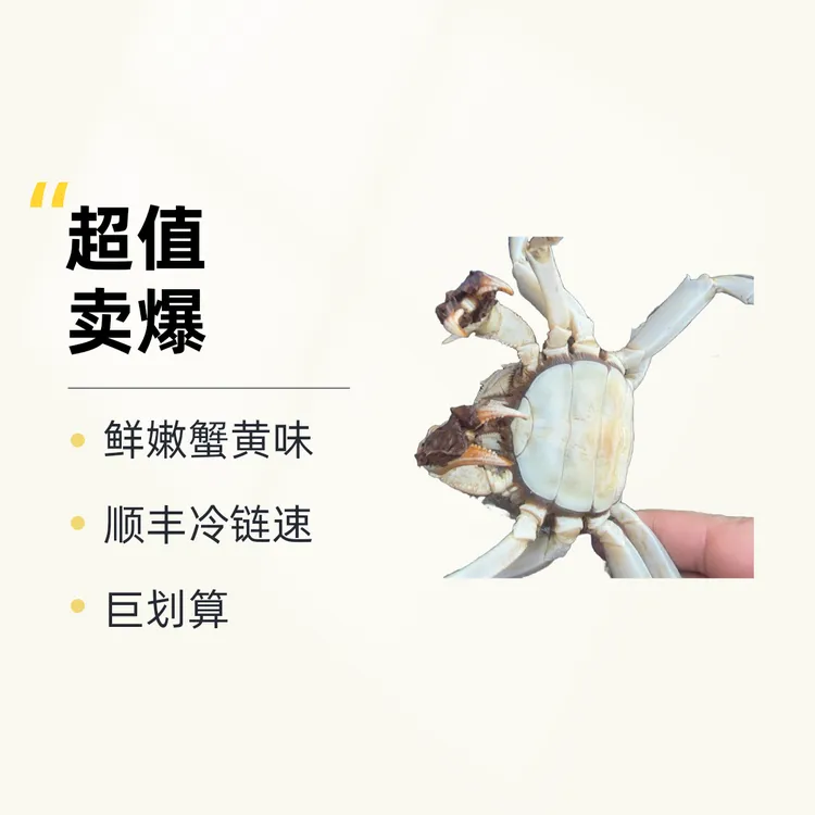 活蟹-微山湖区-母蟹-1.2一1.5两-16只-礼盒装-顺丰包邮