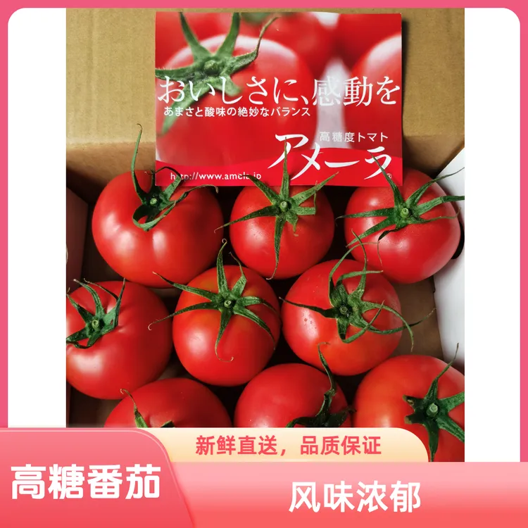 阿麦拉高糖番茄水果西红柿老味道西红柿
