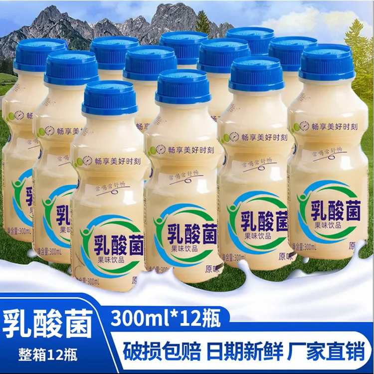 新日期【300ml*12瓶】益生菌乳酸菌风味饮料大瓶整箱原味早餐伴侣v