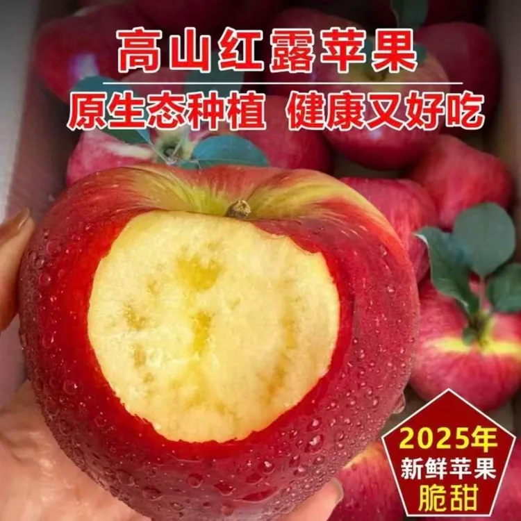 云南昭通红露丑苹果新鲜现摘脆甜多汁营养水果 包邮到家