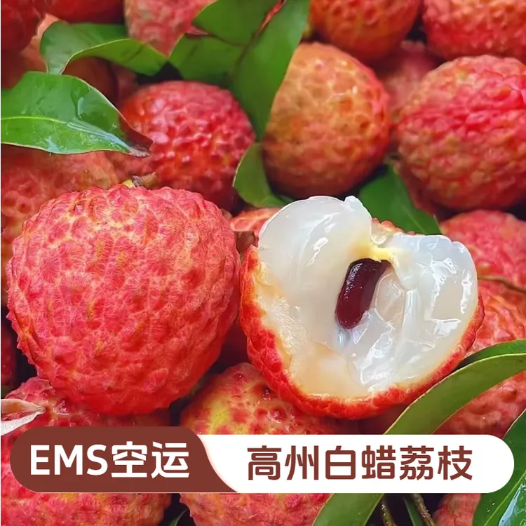 【新鲜白蜡荔枝】正在高州白蜡荔枝九分甜一分酸产地直发EMS空运