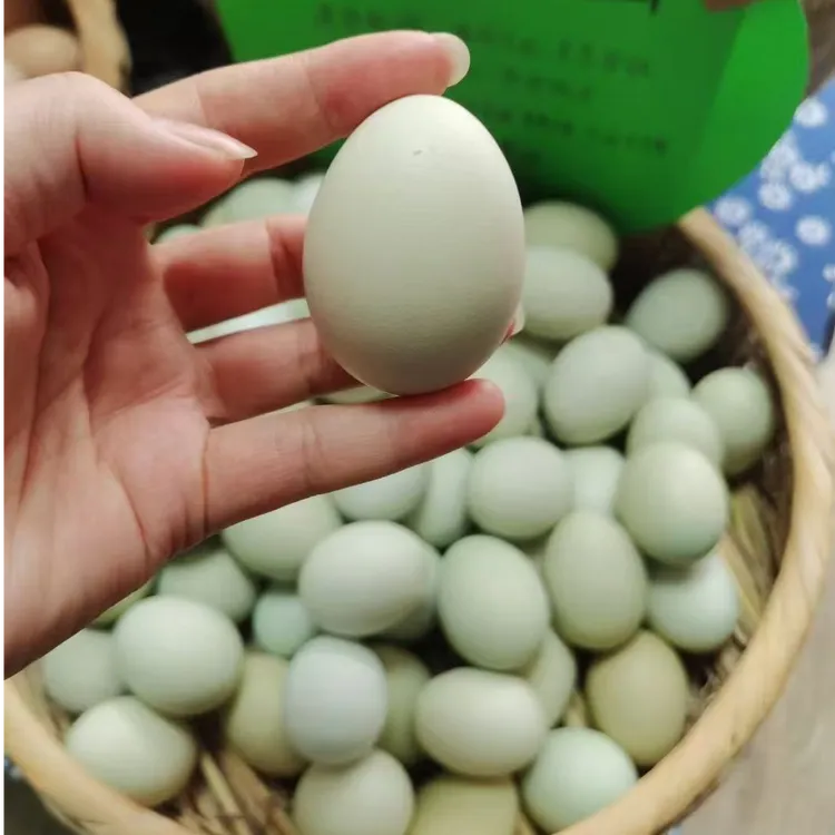 乌鸡鸡蛋正宗散养乌鸡60枚