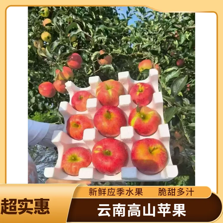 云南昭通高山丑苹果水果脆甜多汁应季新鲜甜苹果网红
