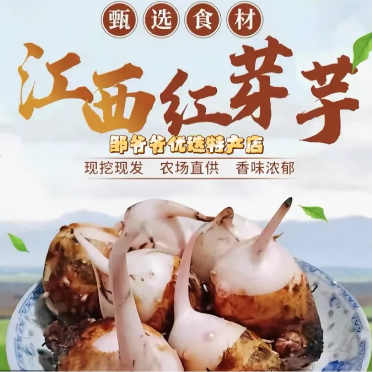 【顺丰包邮】江西铅山红芽芋农家自种现挖现发头茬软弱香甜牛奶芋
