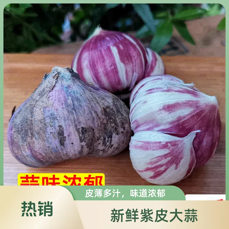 三瓣蒜鲜蒜大蒜头刚挖新鲜三丫蒜紫皮大蒜独头蒜同质1斤蔬菜批发