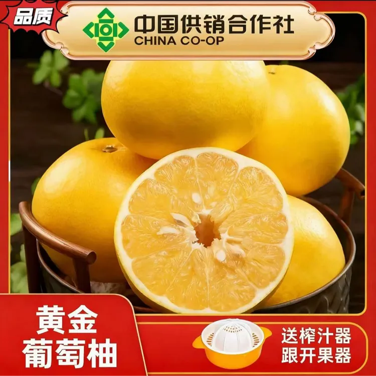福建黄金葡萄柚蜜柚当季新鲜现摘抖音黄心爆汁皮薄多汁清甜水果