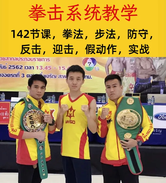 拳击系统教学初中高