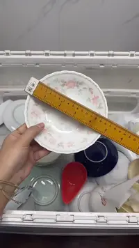 【闪购商品】555回流瓷器默认微瑕，18.8包邮