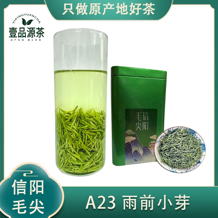 【早春小芽】2025新茶信阳毛尖原产地高山绿茶盒装茶叶批发栗香回甘