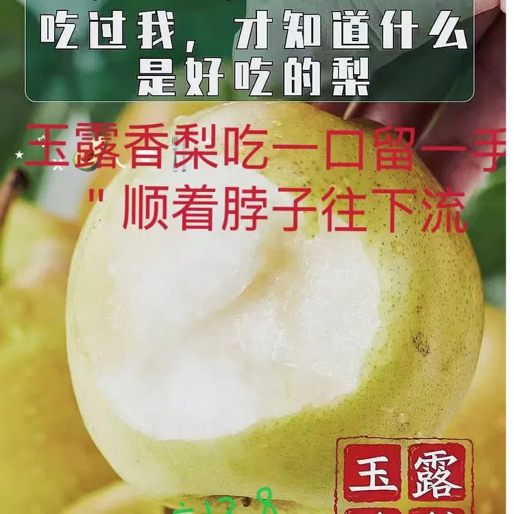 隰县梨正宗玉露香梨果园直发绿色食品脆甜无渣汁水多的梨