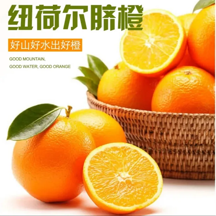 正宗高山脐橙现采现摘纽荷尔脐橙当季新鲜榨汁产地直发