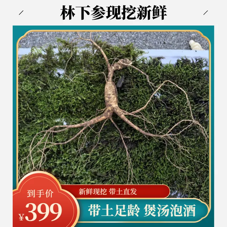 原产地现挖新鲜带土足龄产地直发-3