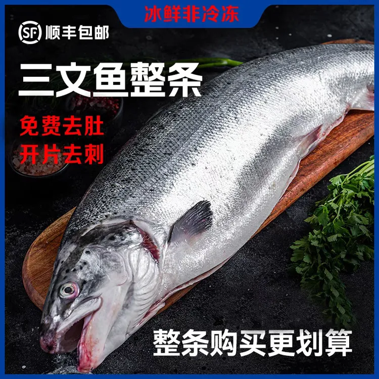 【新疆整条三文鱼】国产三文鱼刺身冰川活水虹鳟鱼营养开片去刺细腻