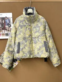 【ZHEN】35YR922 独特提花复古羽绒立领加厚外套