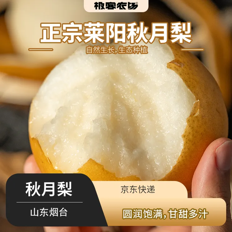 极客正宗莱阳秋月梨甜度高爆汁酥脆化渣好只做头茬大果 果肉细腻