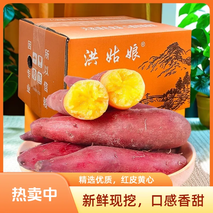 正宗临安天目山小香薯板栗红薯新鲜黄心软糯番薯蜜薯地瓜山芋农家