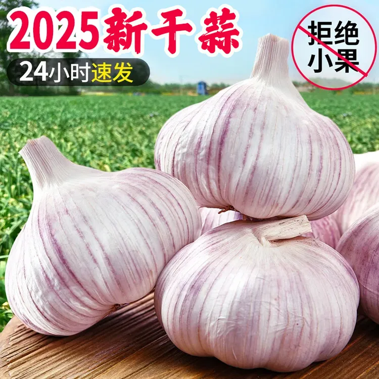 紫白皮大蒜十成干可种大蒜分瓣蒜干蒜炒菜香味十足新干蒜