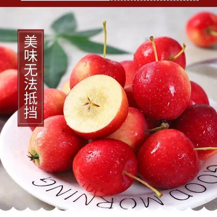 【东北丹东特产】东北特产鸡心果新鲜采摘脆甜多汁应季水果