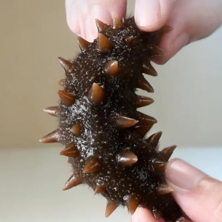 青岛即食海参30只左右（顺丰包邮 活参加工）加两只试吃 品质保证