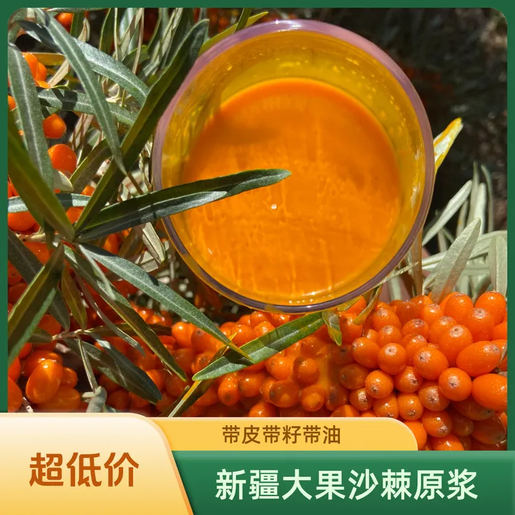 喜笑纳【5袋5斤】沙棘全果原浆NFC工艺营养鲜果饮品沙棘原浆购买