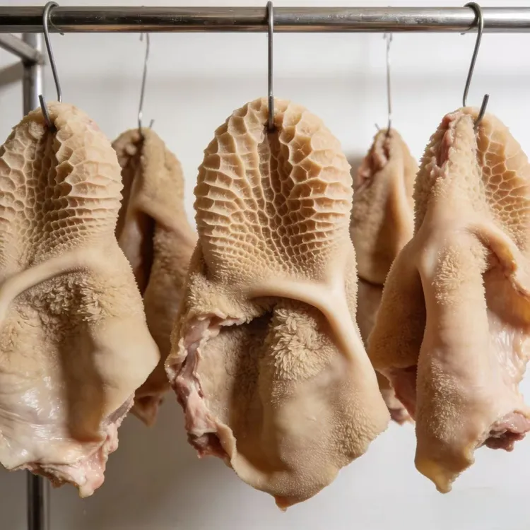 整切牛肚片牛肚丝低脂涮牛肚火锅爆炒金钱肚 固形物含量99%以上