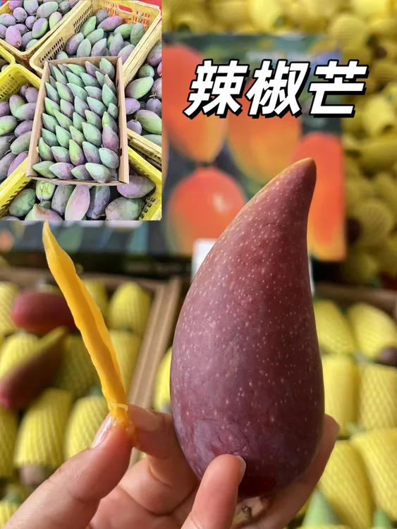 广西辣椒芒现摘现发核薄肉厚新鲜甘甜多汁小巧外型网红水果