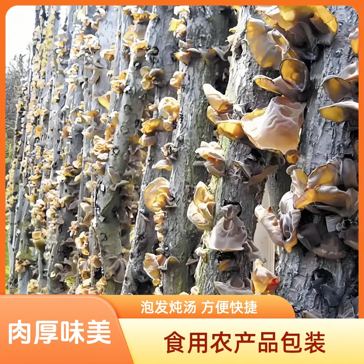 段木木耳干木耳椴木口感软滑肉厚味美黑木耳正品正宗菌菇汤干货