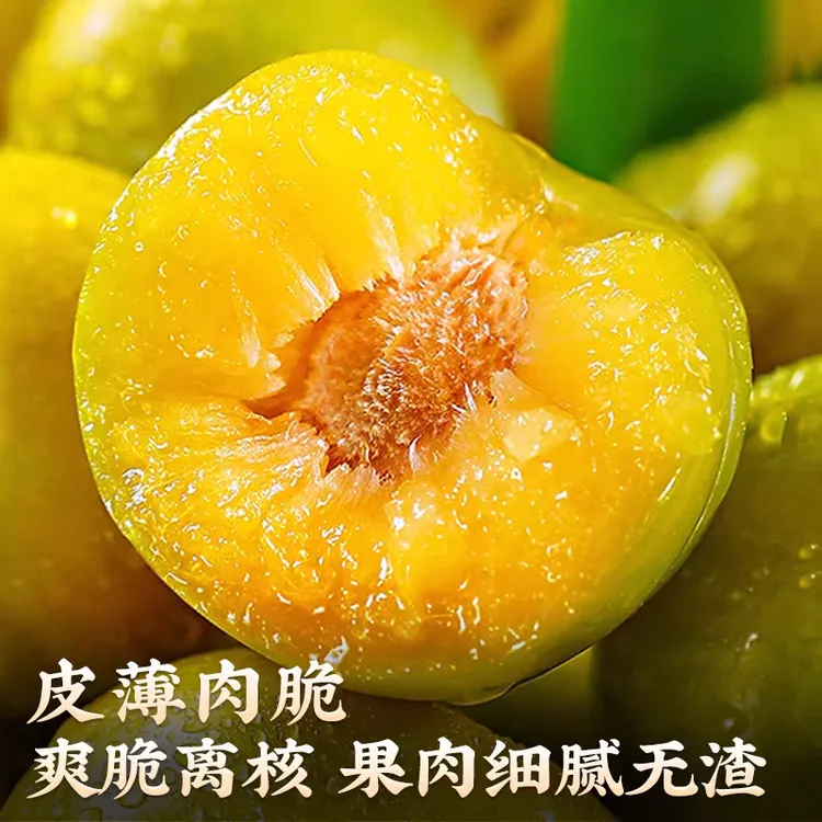 （小正安）正宗贵州高山蜂糖李清脆李孕妇水果