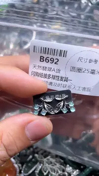 【闪购商品】翡翠颈饰未镶嵌B692耳钉