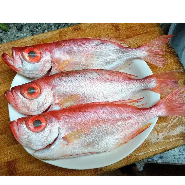 大眼鸡 野生海鱼新鲜红目鲢 海捕大目鱼 
