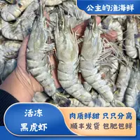 新鲜活冻盐冻黑虎虾（大虾），肉质紧实Q弹，大连发货