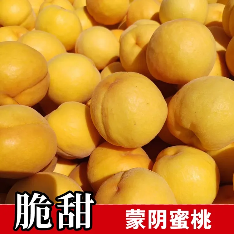 【蒙阴黄桃】黄桃精品黄皮甜桃水蜜桃甜桃当季孕妇水果新鲜毛桃
