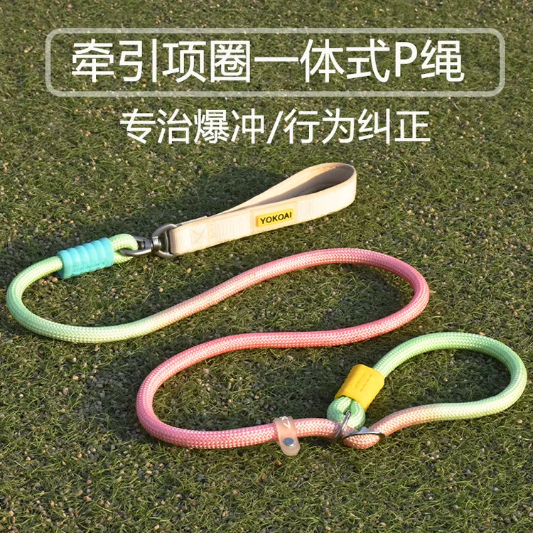 防爆冲P绳狗狗牵引绳防挣脱P链大中小型犬通用拴狗绳套脖遛狗链子