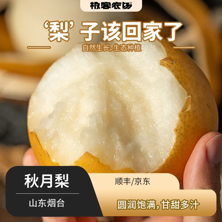 极客正宗莱阳秋月梨甜度高爆汁酥脆化渣好只做头茬大果 果肉细腻