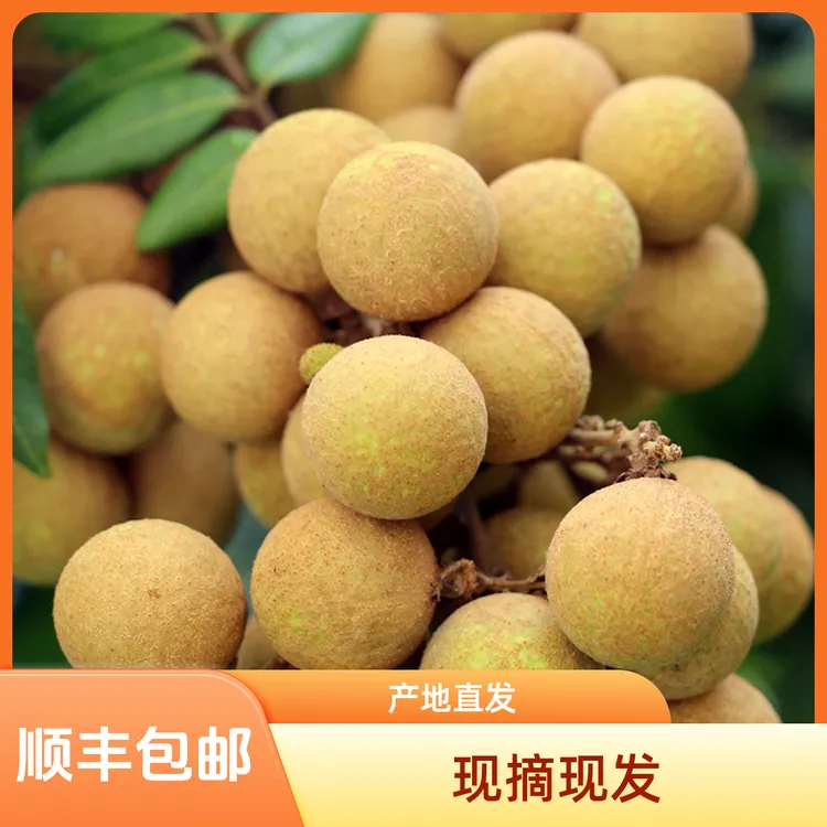顺丰包邮广西平南石硖龙眼新鲜正宗特产皮薄肉厚晶莹大果肉质甜脆