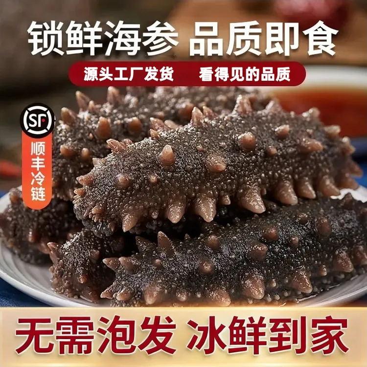 【6-8头大参王】高品质鲜食海参独立包装500g海参源头工厂开袋即食