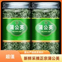 新茶水直销新鲜好茶好茶源头精选正宗根严选茶叶新茶同款蒲公英