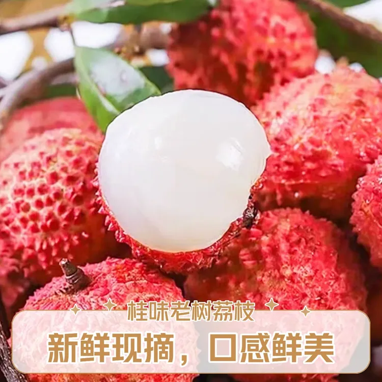 【冷链直达】广东桂味老树荔枝5斤果肉饱满当季水果荔枝同城送J