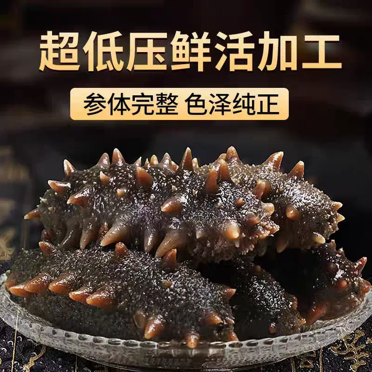 艾掌柜8-12头家庭款(即食）大连辽参【一斤到三斤】